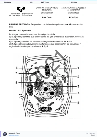 Vista previa de Examen PAU de Biología de País Vasco 2021 – Ordinaria