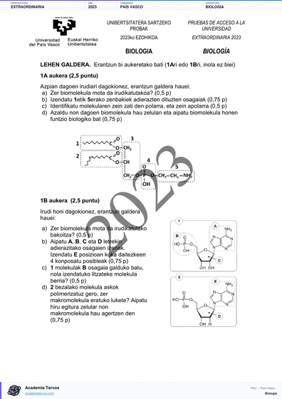 Vista previa de Examen PAU de Biología de País Vasco 2023 – Extraordinaria