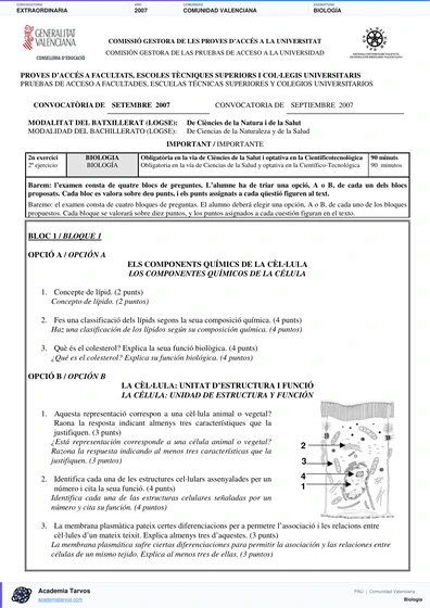 Vista previa de Examen PAU de Biología de Comunitat Valenciana 2007 – Extraordinaria