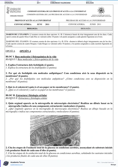 Vista previa de Examen PAU de Biología de Comunitat Valenciana 2011 – Ordinaria