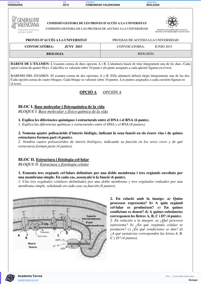 Vista previa de Examen PAU de Biología de Comunitat Valenciana 2015 – Ordinaria