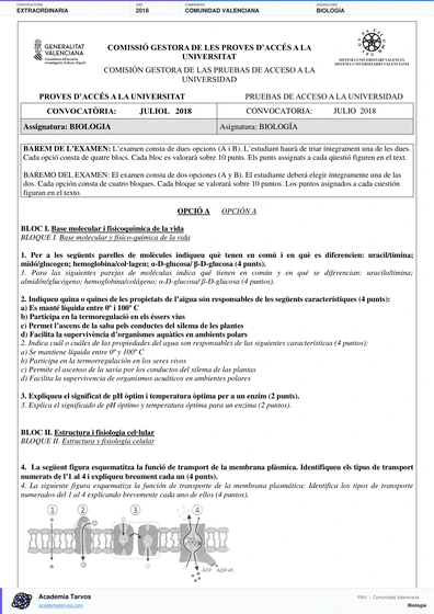 Vista previa de Examen PAU de Biología de Comunitat Valenciana 2018 – Extraordinaria