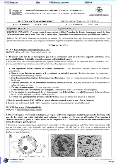 Vista previa de Examen PAU de Biología de Comunitat Valenciana 2019 – Extraordinaria