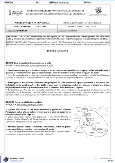 Vista previa de Examen PAU de Biología de Comunitat Valenciana 2019 – Ordinaria