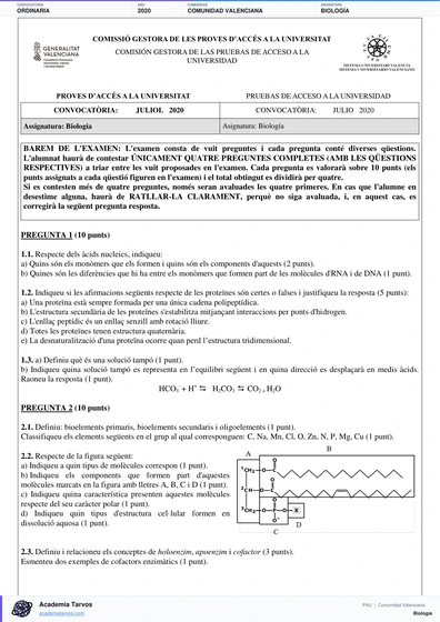 Vista previa de Examen PAU de Biología de Comunitat Valenciana 2020 – Ordinaria
