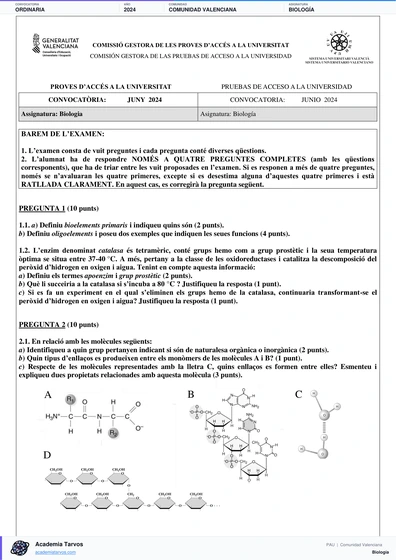 Vista previa de Examen PAU de Biología de Comunitat Valenciana 2024 – Ordinaria