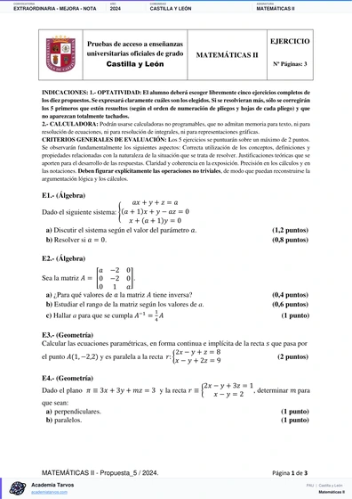 Vista previa de Examen PAU de Matemáticas II de Castilla y León 2024 – Extraordinaria   Mejora   Nota