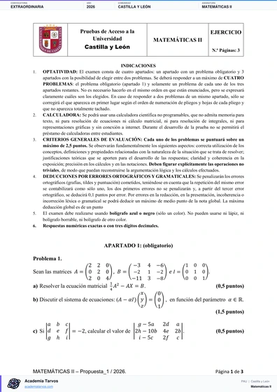 Vista previa de Examen PAU de Matemáticas II de Castilla y León 2026 – Extraordinaria